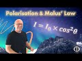 Malus's Law and Light Intensity