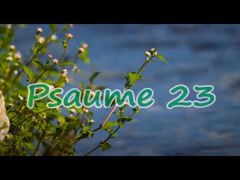 Psaume 23