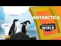 Exploring Antarctica