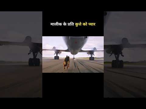 Dog's love for Malik #shortvideo