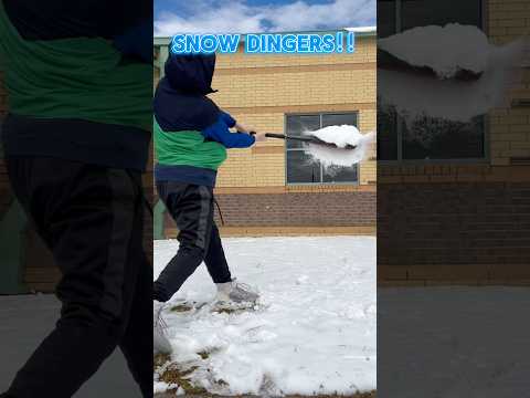 Snow Dingers!!!