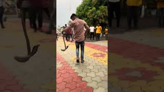 लगभग 10 दिनों से आश्रम के आसपास घूम रहा था यहां सांप🐍 Indian spectacle, cobra venomous snakes