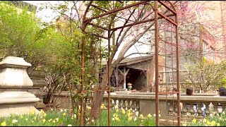 The fight to save Elizabeth Street Garden