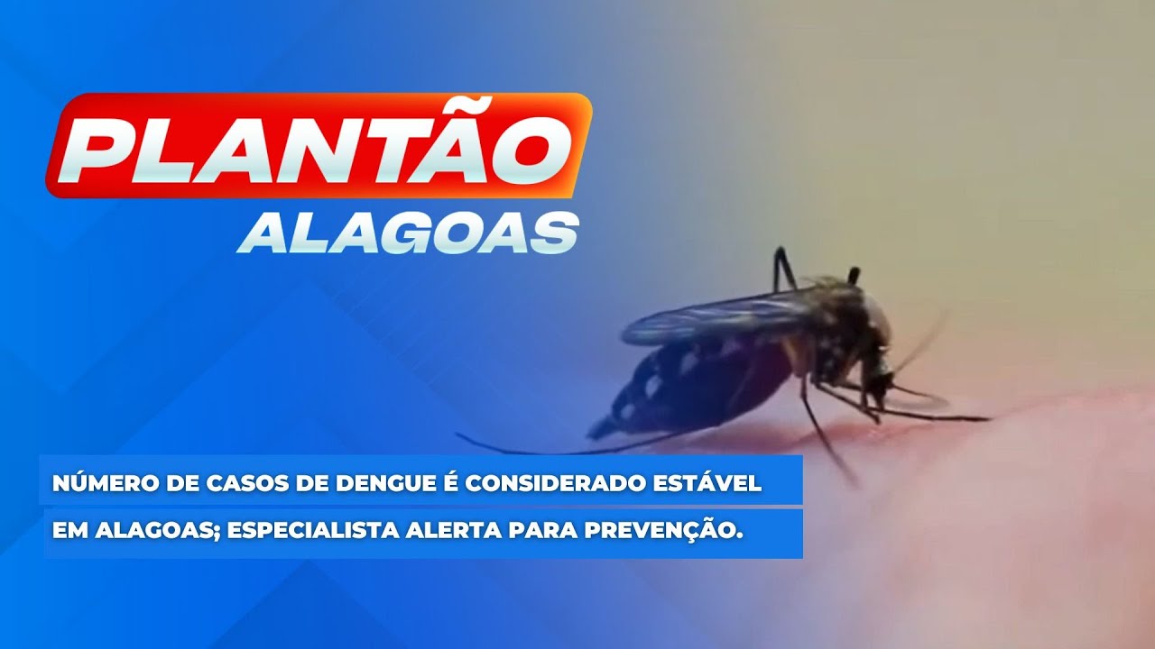 Número de casos de Dengue é considerado estável em Alagoas; Especialista alerta para prevenção.