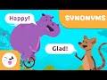 Exploring Synonyms with Hippo and Mouse