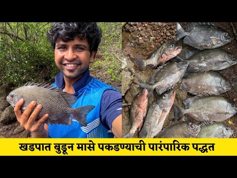खडपातील पाण्यात बुडून मासे पकडण्याची पारंपारिक पद्धत | #konkan_fishing #मासेमारी