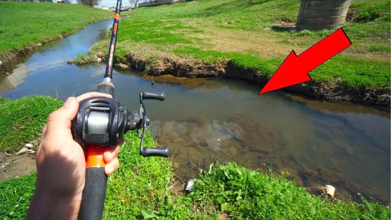Fishing TINY Creek for Spawning Bass