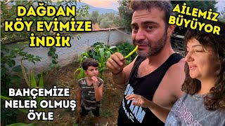 DAĞDAN KÖY EVİMİZE İNDİK BAHÇEMİZE NELER OLMUŞ ÖYLE ? AİLEMİZ BÜYÜYOR !