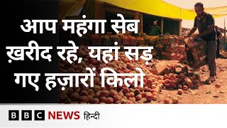 सेब सड़क पर पड़े हैं, ट्रक रास्ते में फंसे हैं, Jammu-Kashmir से ग्राउंड रिपोर्ट | (BBC Hindi)