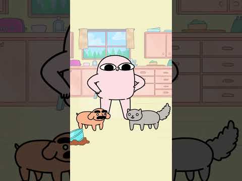 When the fur babies fight 💔