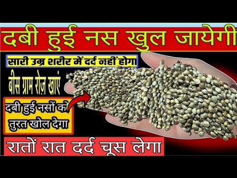 यह 1 बीज को पानी में खाले नसों की कमजोरी साइटिका घुटने का दर्द 100% ठीक #allhealthytips