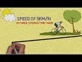 Exploring the Concepts of Speed and Velocity