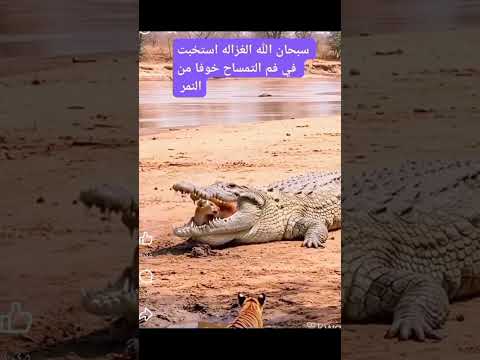 ضع عنوان مناسب