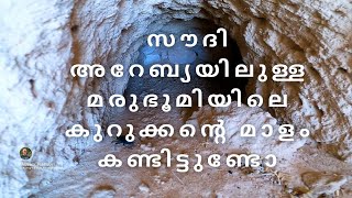 സൗദി അറേബ്യൽ മരുഭൂമിയിലുള്ള കുറുക്കന്റെ മാളം കണ്ടിട്ടുണ്ടോ 😱| വല്ലാത്തൊരു ഫോട്ടോഗ്രാഫറുടെ കഥകൾ| #EP3