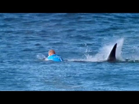 Sud Africa, squalo attacca il campione di surf Fanning