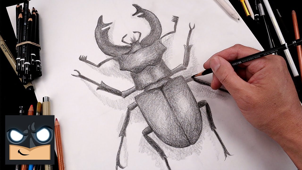 How To Sketch for Beginners - Realistic Stag Beetle Tutorial (Step by Step)