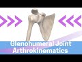 Humeral Movement and Joint Mechanics