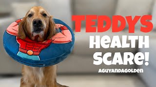 My Dogs Health Scare, And His Road To Recovery.