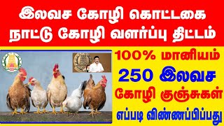 இலவச கோழி கொட்டகை விண்ணப்பிப்பது எப்படி? Nattu koli valarpu thittam 2025 in tamil #govtschems