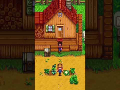 DICA DE OURO para INICIANTES ๐ค Stardew Valley