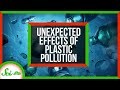 Understanding Plastic Pollution