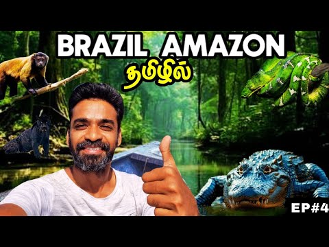 🐊அமேசான் காட்டுப் பயணம் ஆரம்பம்🐒| 🇧🇷Brazil Amazon ep4