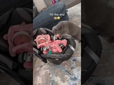 Cat sees baby for the first time ❤️❤️❤️
