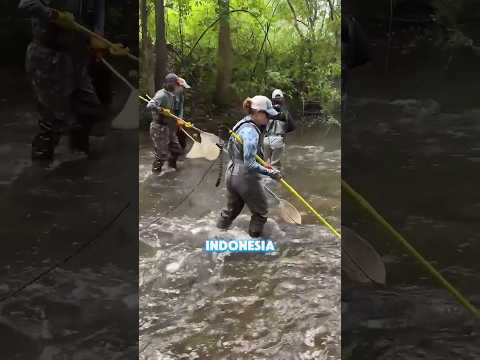 Menangkap Ikan Pakai Setrum Di Amerika❗😮