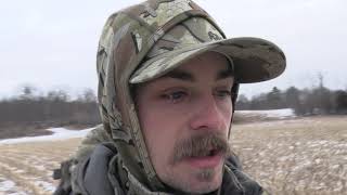 Vermont Coyote hunt 300yd TRIPLE
