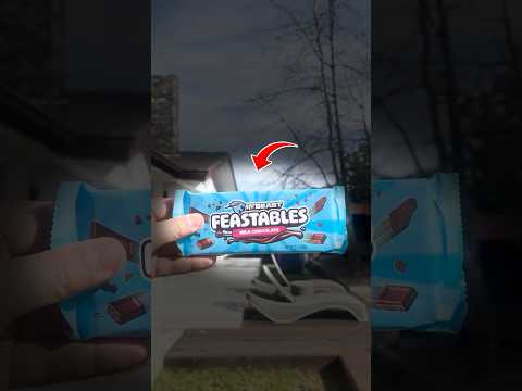 Feastables vs Hersheys #shorts