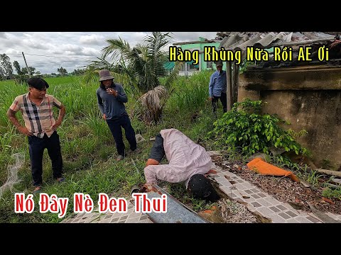 Nhận Tin Báo Khẩn : Giúp Đỡ Người Dân Chinh Phục Cặp Hổ Đất Đen Bóng Loại Đại | Mười Thương Săn Bắt