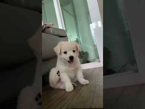 그냥 귀여워서