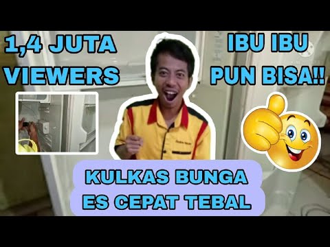 ibu-ibu pun bisa.... Kulkas bunga es cepat tebal