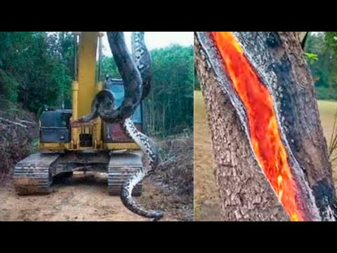 Top 5 Increíbles Cosas que Veras por Primera vez 😱 Sucesos Terroríficos e Inexplicables