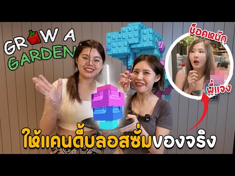 ให้แคนดี้บลอสซั่ม Grow A Garden ของจริงกับพี่แจง