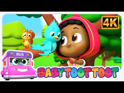 Baby Toot Toot - Caperucita Roja 🧺🐺 | Cuento Clásico Infantil en Canción en Español