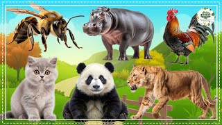 Love The Life Of Cute Animals Around Us: Cat, Horse, Elephant, Pig, Leopard, Goose - Animal Sounds