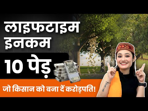 Top 10 पेड़ जो पैसो की करेगा बारिश!