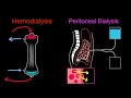 Dialysis and Renal Therapy Concepts