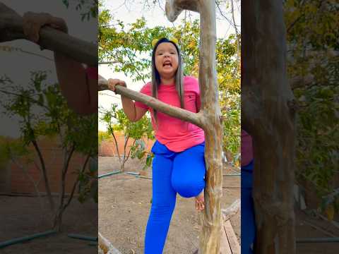 EU FIQUEI PRESA NA ÁRVORE