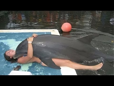 Biggest Dolphin Attacks Ever Recorded