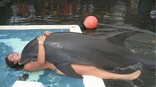 Biggest Dolphin Attacks Ever Recorded