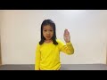 Understanding the Video Tutorial