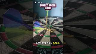 🏹 Loxley Robin Model 1 - podoba wam się taki nietypowy model? #dart #darts #sports
