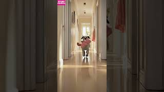 She was looking for a teddy bear… but found a memory. #shorts