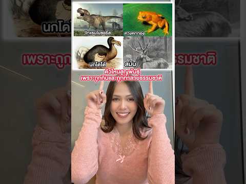 สัตว์ตัวไหนสูญพันธุ์เพราะมนุษย์ #รายการไวรัล