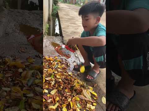 Cậu bé xấu tính và ăn xin đáng thương P3 | Xoong nồi TV