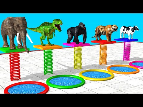 Cow Elephant Dinosaur Tiger Gorilla Choose the Right Mystery Pool Fun Slide Crossing Fountain Game