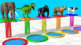 Cow Elephant Dinosaur Tiger Gorilla Choose the Right Mystery Pool Fun Slide Crossing Fountain Game