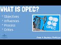 OPEC Decision-Making and Impact